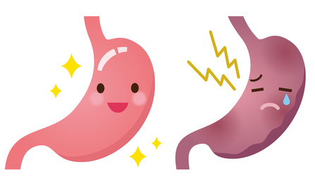 健康な胃と弱った胃