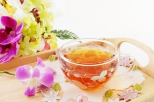 Fotolia_67572053_XS