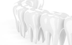 Fotolia_65138576_XS