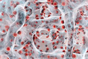 Biofilm of antibiotic resistant bacteria, closeup view. Staphylococci, spherical bacteria, MRSA, methicillin-resistant Staphylococcus aureus
