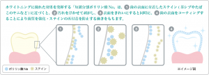 ポリリン酸ホワイトニング